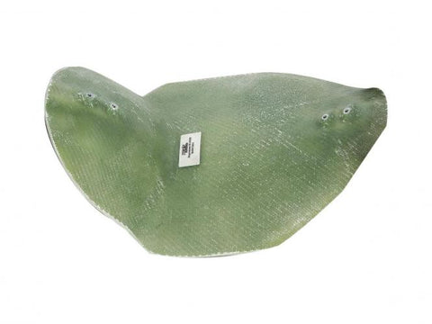 Seat Pan for 6'' Ricks Rear Fender